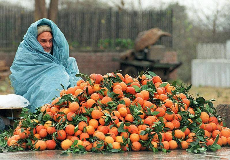 Tangerine Seller in Egypt's rain