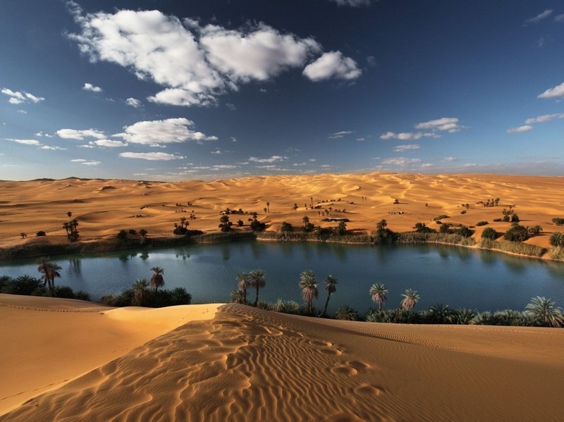 Oasis (Source)