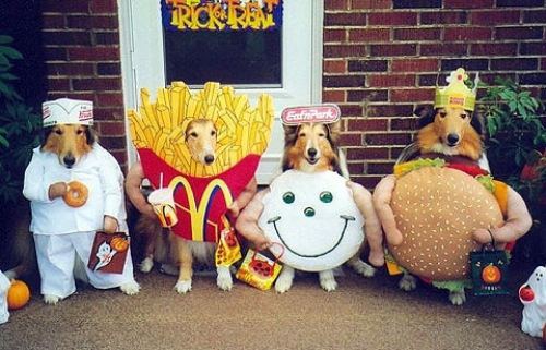 Fast Food Pets