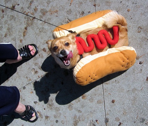 Hot Dog