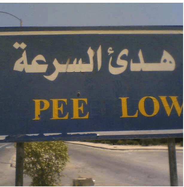 onlyinEgypt