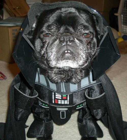 Pug Vader