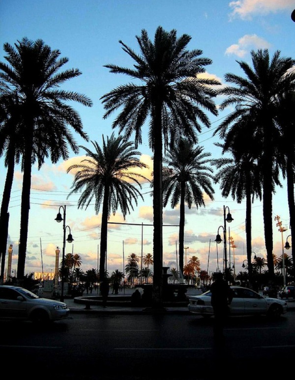 tripoli - friedaryckaert