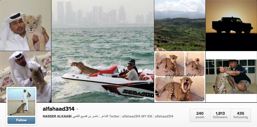 alfahaad314