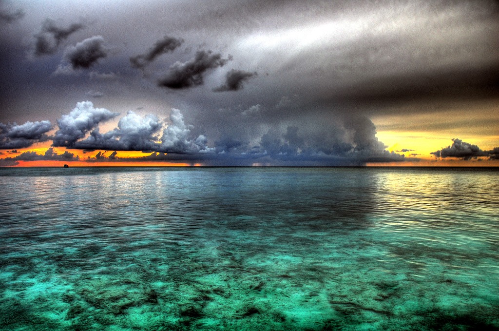 (Source)