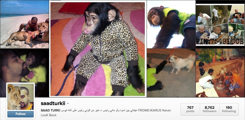 saadturkii