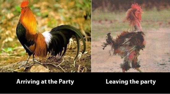 550x-Before-and-After-party