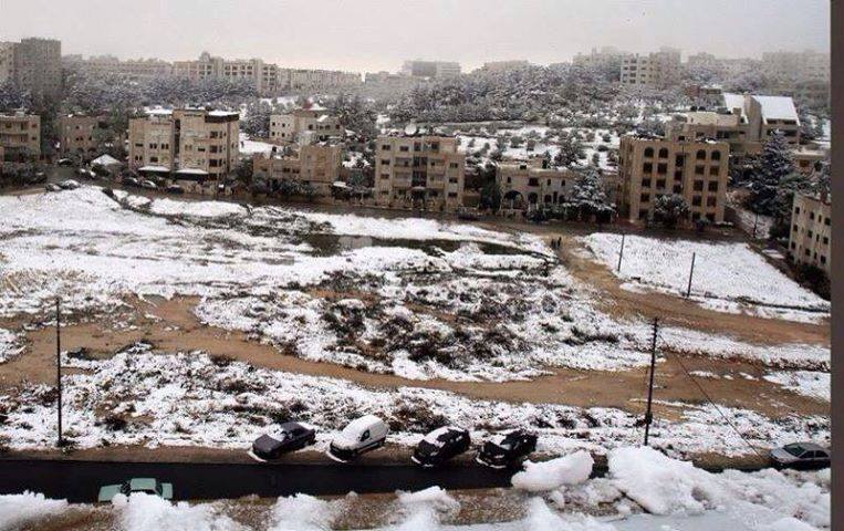 Cairo (Noha El Shiaty, Hala El Nayal and Ahmed El-Minawi)