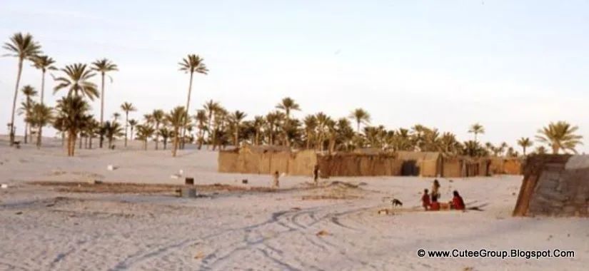 Old Dubai In 1960 (5)