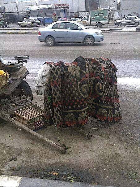 (ahna illy 2olna la2)