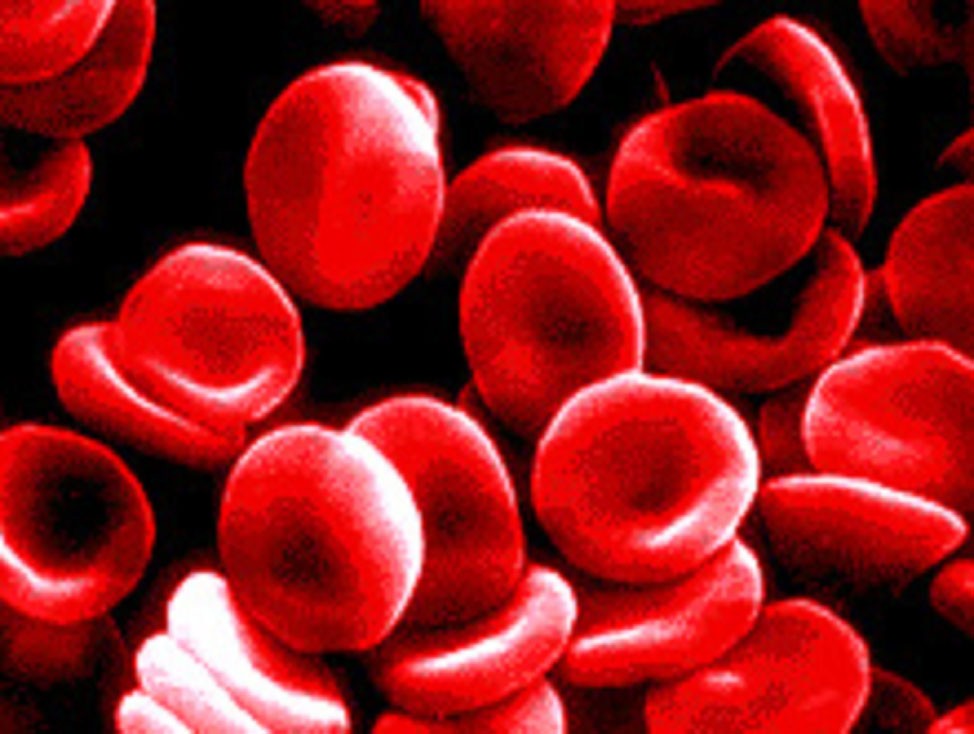 blood_cells