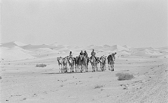 olddubai17