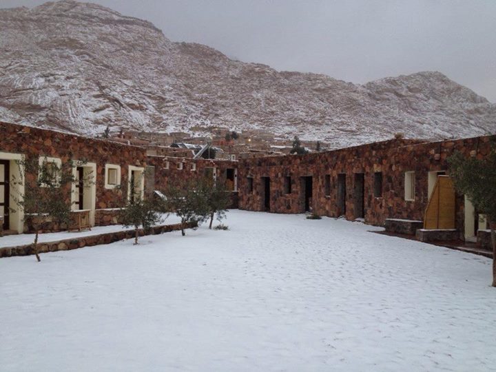 St. Catherine (Mohamed Soliman)