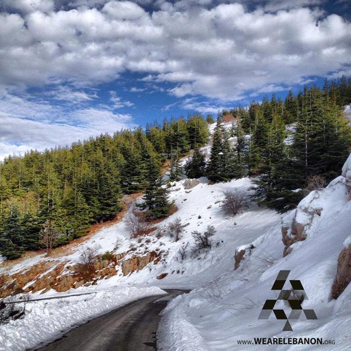 Barouk Cedars (Via)