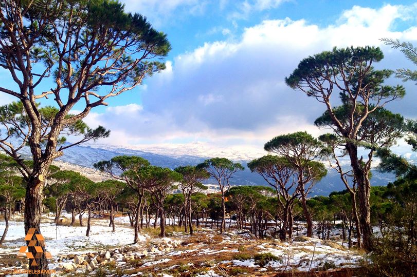 Mount Lebanon (Via)