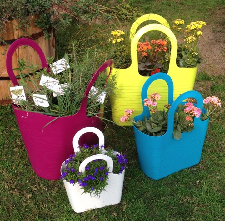 1014029_584449168301294_487139023_n