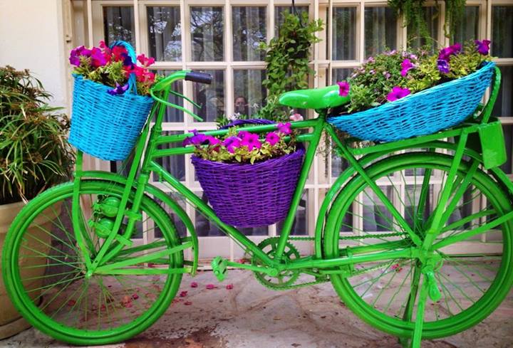 249561_466480426764836_331895003_n