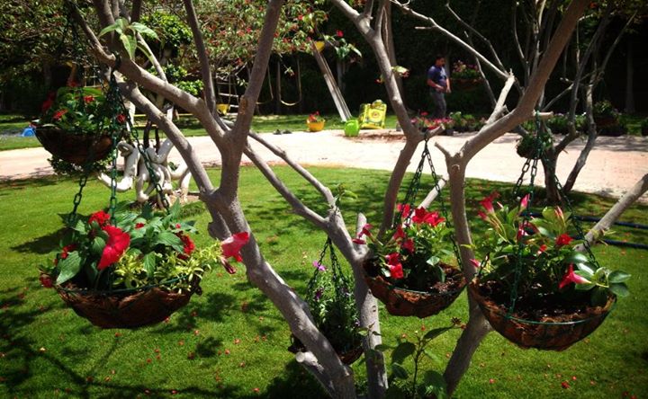 37027_458896300856582_325070616_n