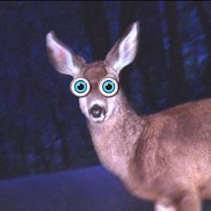 Deer-in-headlights