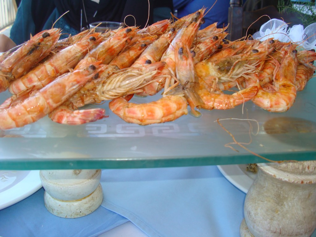 alex shrimp