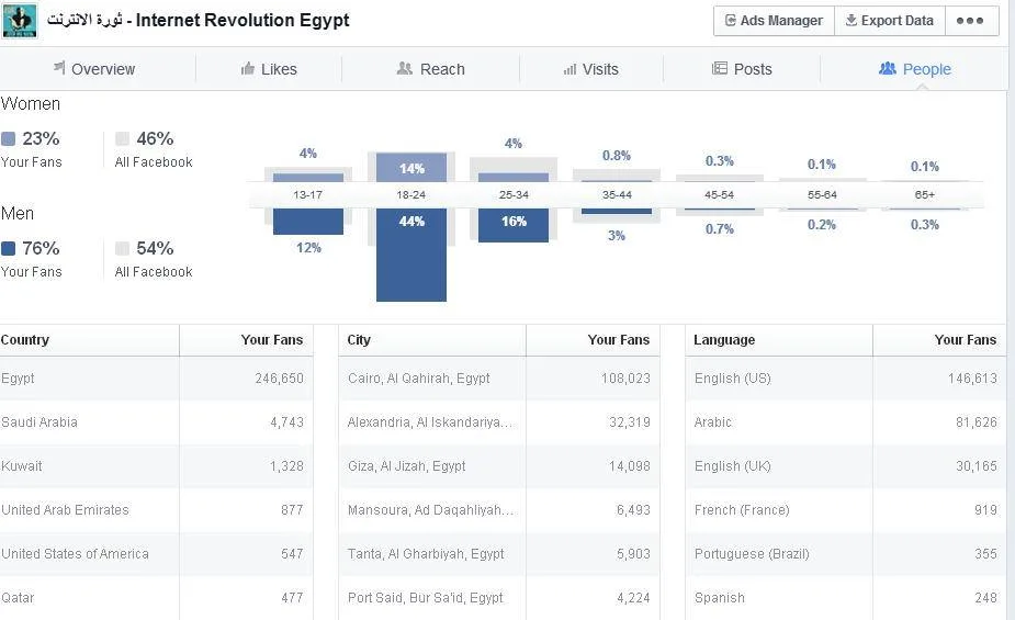 Internet Revolution Egypt Facebook page audience statistics, courtesy of page admins