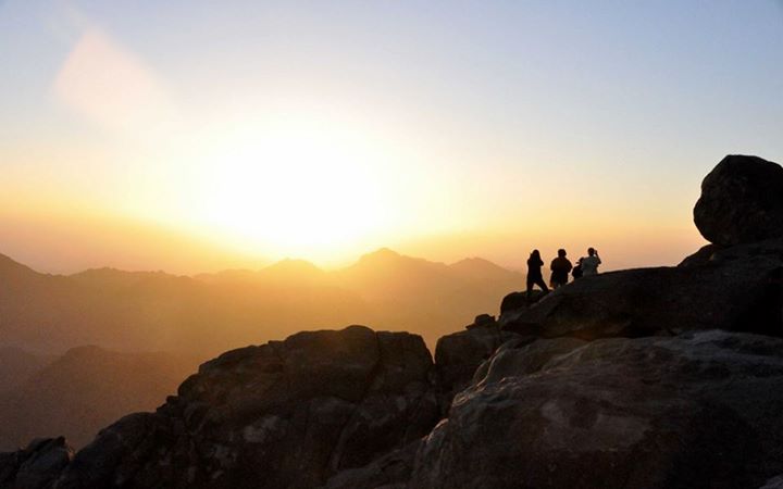 Mt. Sinai