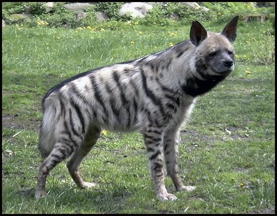 tumblr_mq3m0tUF891r1dbc7o7_r1_1280