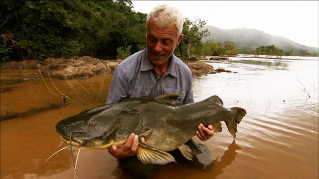 124181079240312805302701197_Catfish
