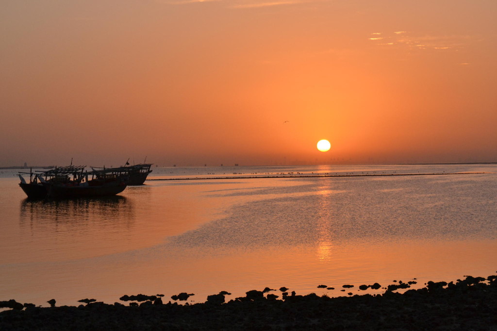 Gulf of Saudi Arabia (Ali Areda Via)