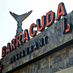 barracuda-sign-copy