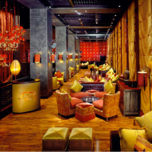 buddhabar-500x500
