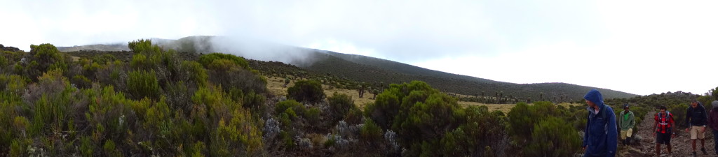 Courtesy of Passainte Assem