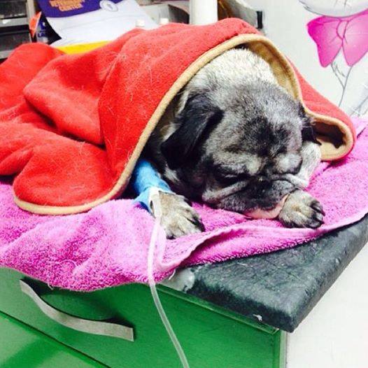 10287209_10154079837230150_1974648609_n