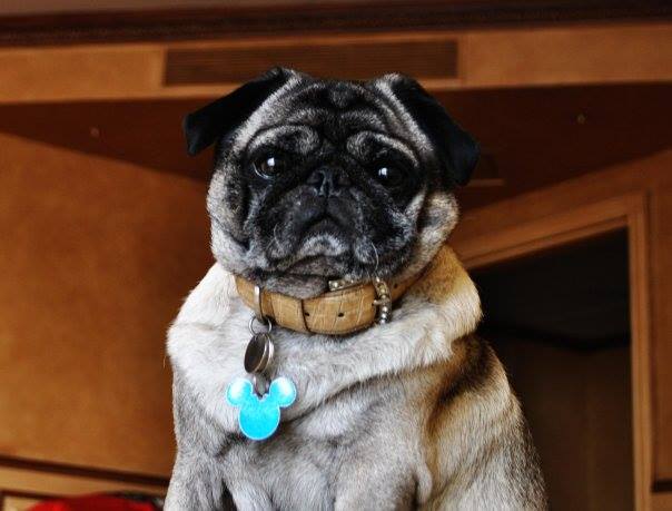 972598_10154079837425150_436117122_n