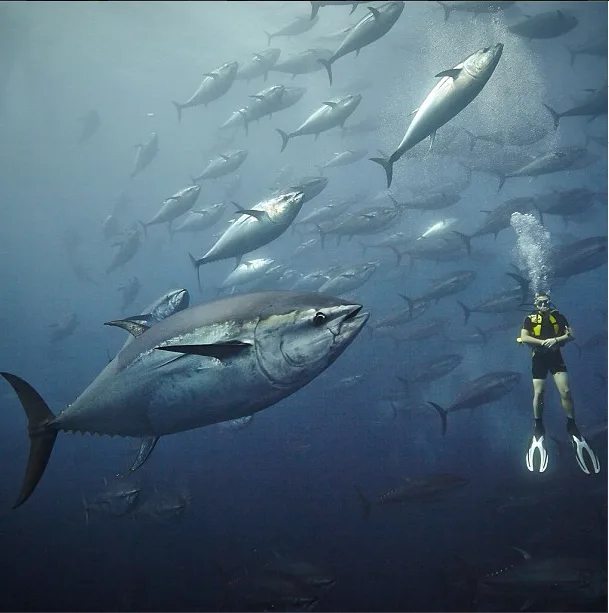 Screen Shot 2014-04-30 at 11.00.24 AM