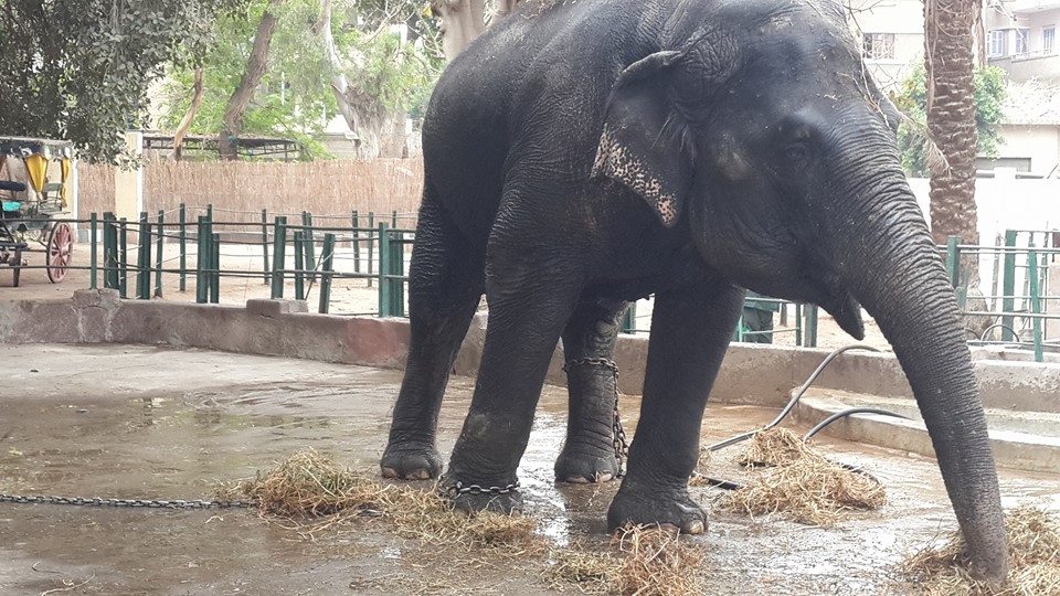 10177460_10152027197631717_1538174831622571743_n