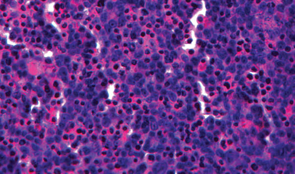 Cross-section of multi-cellular bioprinted human liver tissue