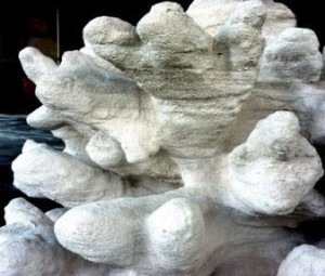 3D-printed sandstone reef from Reef Arabia and SOI