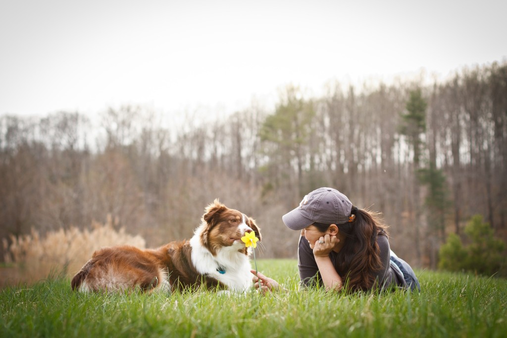 @whiskey_theaussie (@dogsofinstagram/Instagram)