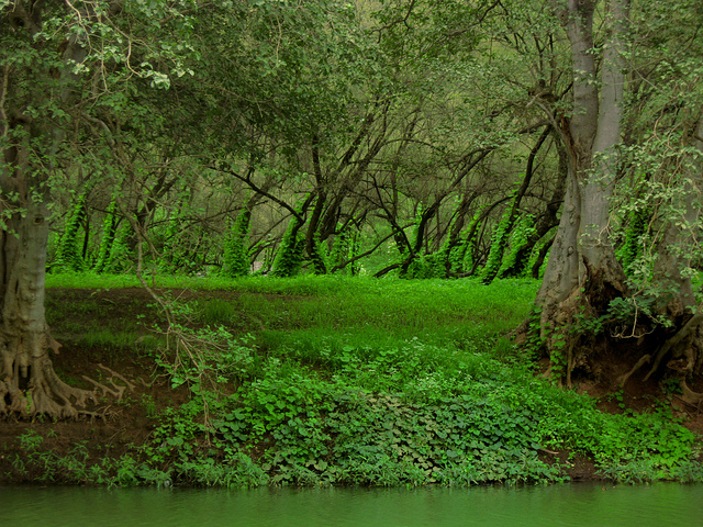 Wadi Darbat, Salalah (wajahatmahmood/flickr)