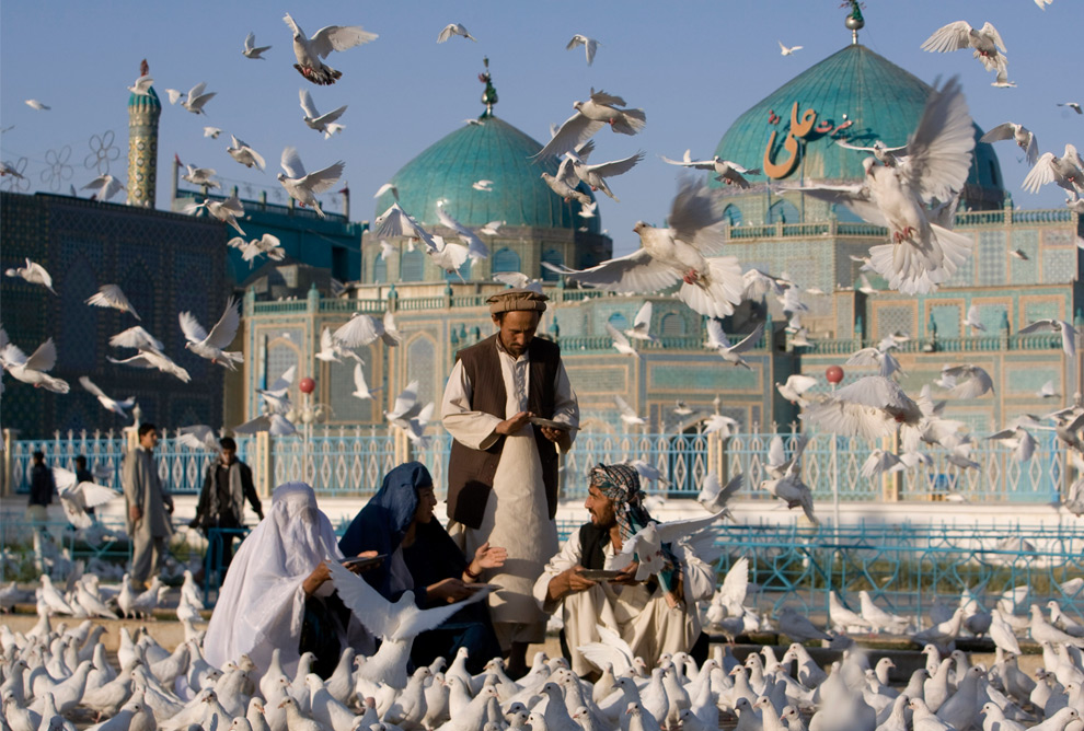 Pigeons in Afghanistan right after Eid prayers