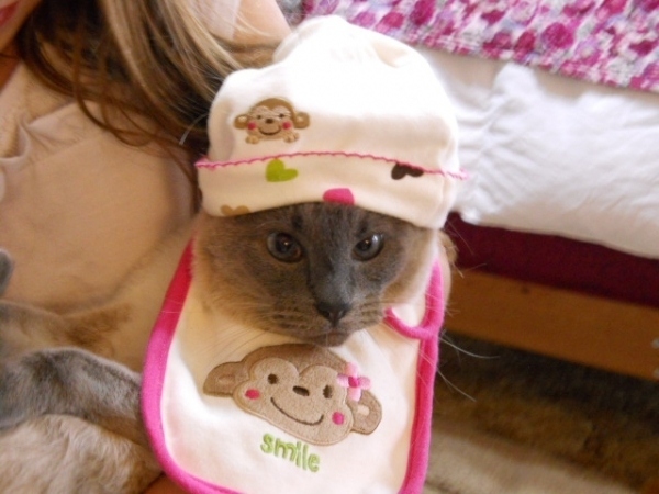 catbaby