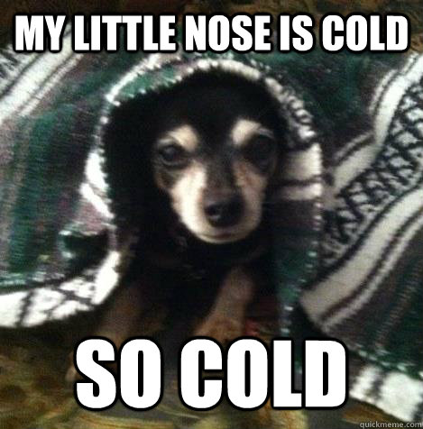 cold