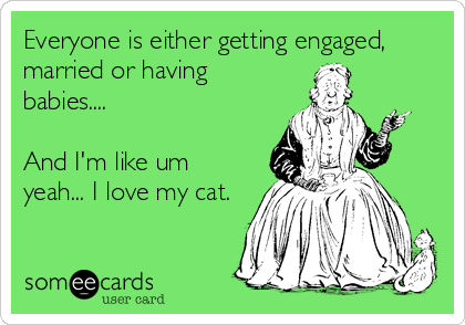 lovecat