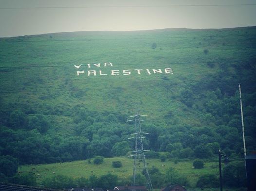 10257202_10152591855559231_7376959130813012352_n