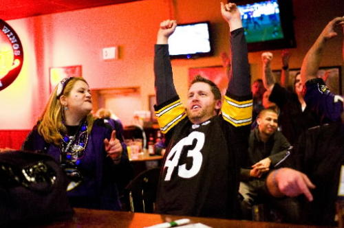 20110115_074241_ravens_500