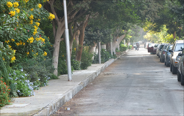 8122705761_d6eea08f61_z