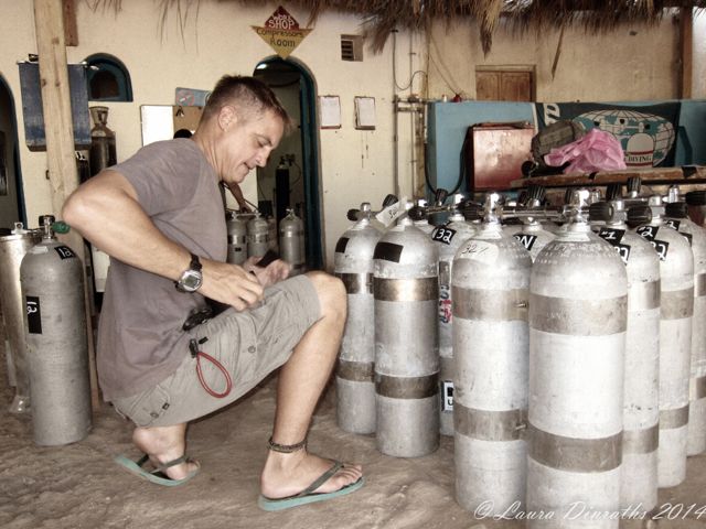 jaime browne ahmed gabr