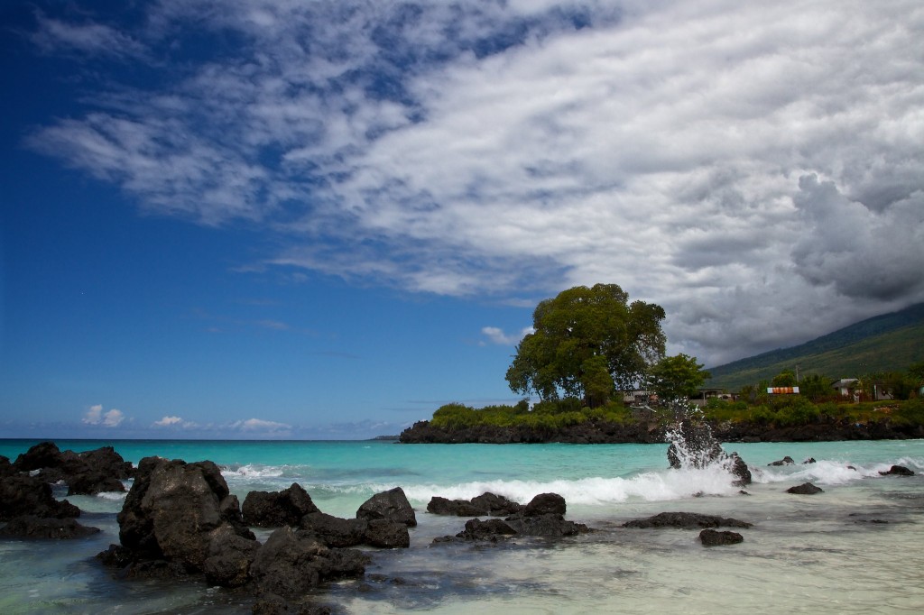 IOTW_118-1024x682