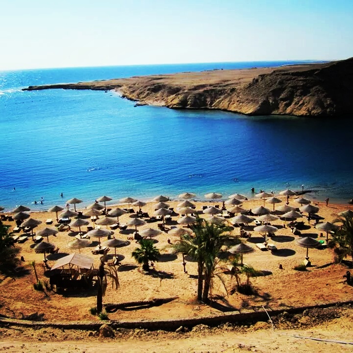(Ahmed Yehia)